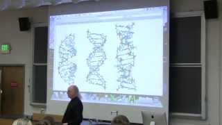 15 Biochemistry Lecture DNA Structure and Replication from Kevin Aherns BB 350 [upl. by Dombrowski]