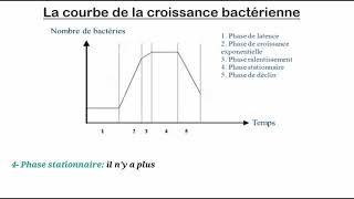 La croissance bactérienne [upl. by Schoof]