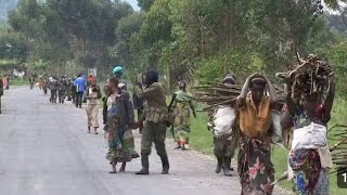 Deux M23RDF neutralisés par les WAZALENDO autour de sake combats encours ce 2102024 [upl. by Sheya]