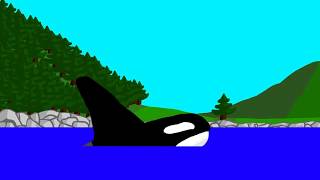 Animated Killer Whale [upl. by Breana]