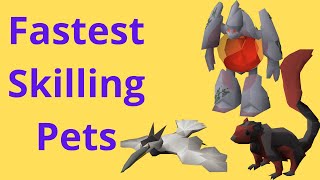 Fastest Skilling Pets OSRS 2020 Best to 99 and Post 99 [upl. by Esinev]