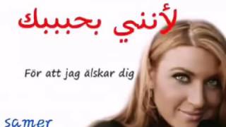 اغنية سويدية مترجمة Svensk låtsång med svenska och arabiska textSarah Dawn finer [upl. by Terzas]