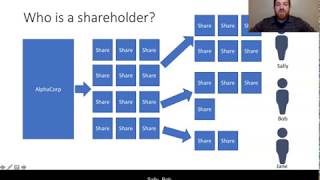 Shareholder Theory Explained [upl. by Nyrehtak]