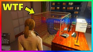 GTA 5 Online  MODDERS CAGE TROLLING PLAYERS Best Money Methods amp Discounts GTA V [upl. by Adnolohs]