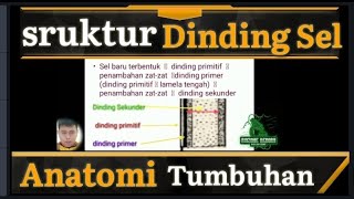 Struktur dan sifat Kimia Dinding Sel [upl. by Nabal]