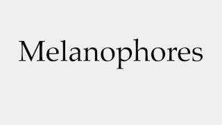 How to Pronounce Melanophores [upl. by Muire794]