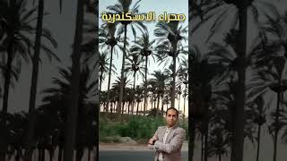 صحراء الاسكندرية تركايةوحكايةمعمراد المشروعاتالقوميةبالإسكندرية [upl. by Ailahk]