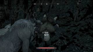 Skyrim Easy High Elf Blood Harvest Location  Discerning the Transmundane [upl. by Hecker706]