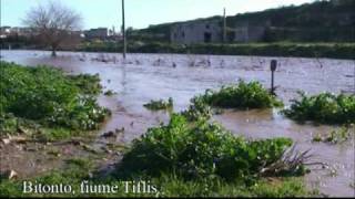 Bitonto rieccolo il fiume Tiflis [upl. by Rosse]