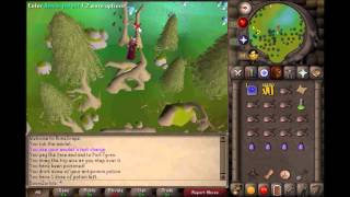 OsRs 01 Degrees 24 Minutes North 08 Degrees 05 Minutes West RuneScape 2007 [upl. by Eresed]