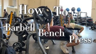 How to Barbell Bench [upl. by Ailam]