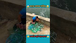 Flood Fishing  বন্যার পানিতে একঝাঁক ছোট মাছ ধরলো 😲 shorts amazingfacts fishingfacts mayajaal [upl. by Pillyhp84]