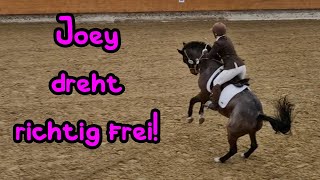 Turnier  Joey DREHT richtig FREI 🦄 Adventskalender Tür 23 [upl. by Aissat]