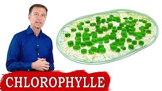 9 BIENFAITS DE LA CHLOROPHYLLE en 2 minutes [upl. by Fowle]