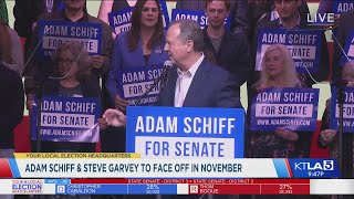 Protestors take over Schiff victory speech [upl. by Gervase]