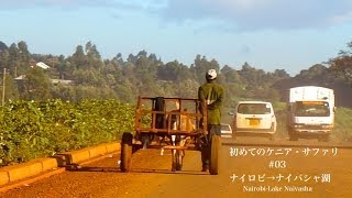 【初めてのケニア・サファリ 03】ナイロビからナイバシャ湖へ Great Rift Valley [upl. by Hasen]