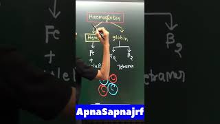 Haemoglobin structure  apnasapnajrf [upl. by Tonkin]