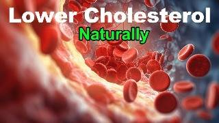 Lower Cholesterol Reduce the Bad LDL and Boost the Good HDL [upl. by Ailec397]