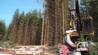 Tigercat Harvester cutting spruce [upl. by Eceinej692]