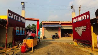 WELCOME TO BABU DAIRY CATTLE FARM IN GOALBARI FULL TOUR OF BABU DAIRY FARM ⭐✨ [upl. by Anigriv]