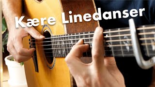 Linedanser  Fingerstyle Cover [upl. by Aicnilav]