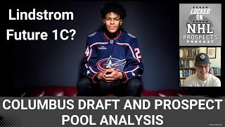 COLUMBUS BLUE JACKETS 2024 DRAFT amp PROSPECT POOL BREAKDOWN  Scouts Analysis [upl. by Nurse551]