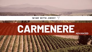 Grape Varieties  Carmenere Advanced Version ideal for WSET Level 3 and Level 4 WSET Diploma [upl. by Lasorella]