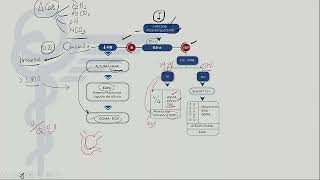 Neumología Mapas mentals INSF RESPASMA EPOCNEUMONIATBCBRONQUIECTASIASTEPCA PULMON ENAM 2023 [upl. by Bordie716]