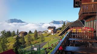 Paragliding  Gleitschirmfliegen – Performance Training  Greifenburg  Aussicht Emberger Alm [upl. by Eillom771]