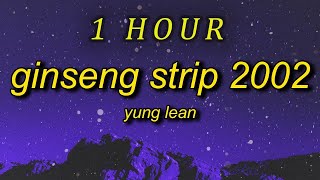 1 HOUR  Yung Lean  Ginseng Strip 2002 lyrics b come and go but you know i stay [upl. by Balf368]