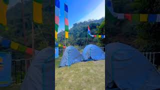 Dudhiya Salvation Advature Camp shortsfeed shortsvideo trending [upl. by Nagiem]