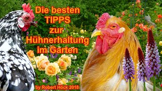 Die besten Tipps für die Hühnerhaltung im Garten  mit der HAPPY HUHN PHILOSOPHIE von Robert Höck [upl. by Kylila]