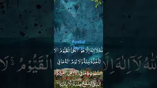 shorts ayatul kursi  amazing quran recitation Episode 2 [upl. by Rainwater]