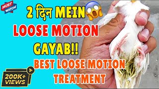 BEST LOOSE MOTION TREATMENT OF BIRDS 😍 Loose Motion Treatment of Budgies Cure Diarrhea Happy Budgies [upl. by Miksen]