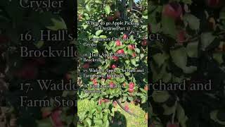 Where to go Apple Picking in Ontario Part 2 [upl. by Silvers]