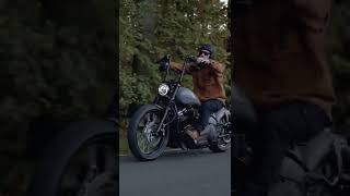 HarleyDavidson Street Bob Bobber quotGrey Hawkquot by Thunderbike Customs [upl. by Argus754]