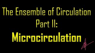 Ensemble of Circulation Part II  Microcirculation  The Pacemaker [upl. by Mareld]