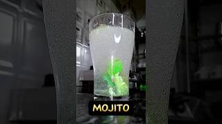 Mojito mocktail 🍹😋 minivlog vlog daily food trending cooking mojito drink shorts [upl. by Lorinda414]