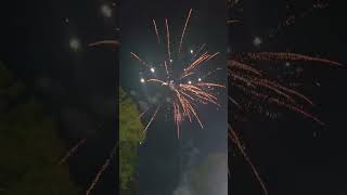 Jailbird 25 shot Firework [upl. by Vada]