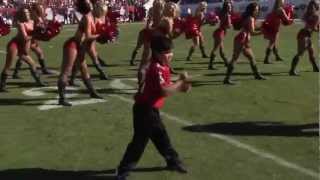 Kid dances with Tampa Bay Buccaneers Cheerleaders mp4 [upl. by Birdt]