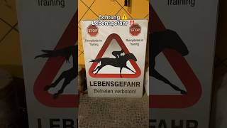 ACHTUNG Rennpferde ‼️🥵 shorts horse [upl. by Eresed]