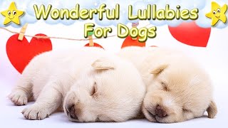 Soft Relaxing Sleep Music For Puppies ♫ Calm Relax Your Labrador Dog ♥ Lullaby For Pets Animal Music [upl. by Son]