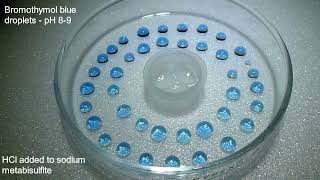 Bromothymol Colour Change  Sulfur Dioxide [upl. by Tniassuot]