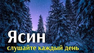 СУРА ЯСИН СЛУШАЙТЕ КАЖДЫЙ ДЕНЬ НАЧИНАЙТЕ ДЕНЬ С ЭТОЙ СУРОЙ КОРАНА ИНША АЛЛАХ [upl. by Ymme163]