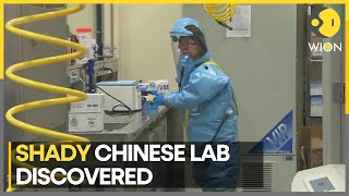 SECRET COVID LAB DISCOVERED IN CALIFORNIA Chinese National Producing Covid spreading Rats [upl. by Teloiv]