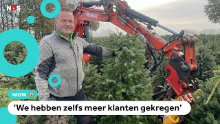 Duizenden vernielde kerstbomen toch verkocht [upl. by Nnyl]