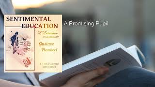 Sentimental Education 12 ❤️ By Gustave Flaubert FULL Audiobook [upl. by Larena]