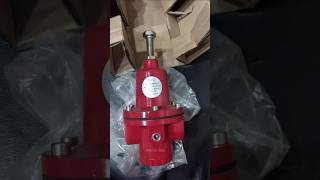 Special Gas Regulator for only LPG Gas  RECO Gas Regulators  Shorts [upl. by Dyanna]