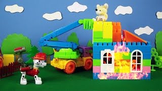 Paw Patrol Pups helfen Milly der Maus [upl. by Hazrit331]