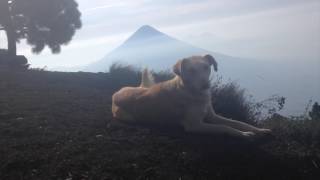 Hiking Volcan Acatenango in Guatemala 1 min teaser [upl. by Esten691]